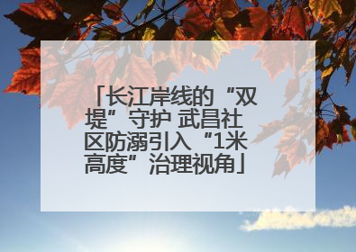 长江岸线的“双堤”守护 武昌社区防溺引入“1米高度”治理视角